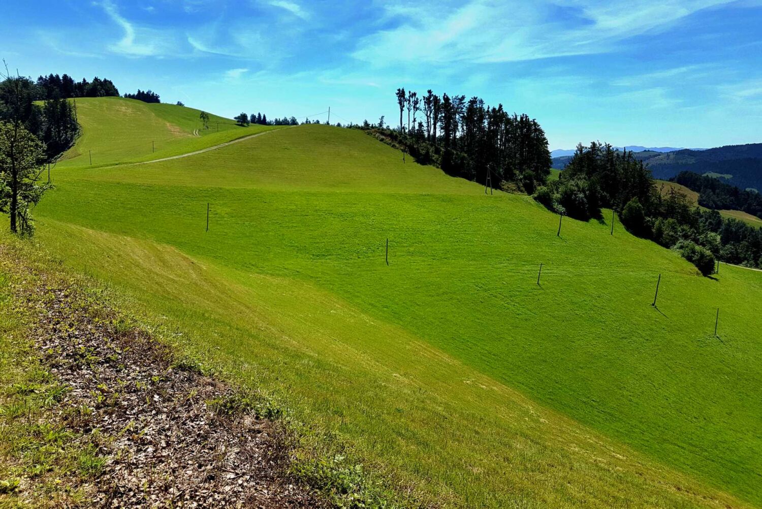 20160705_121733