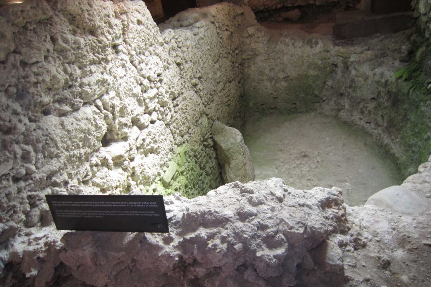 Kranj 041