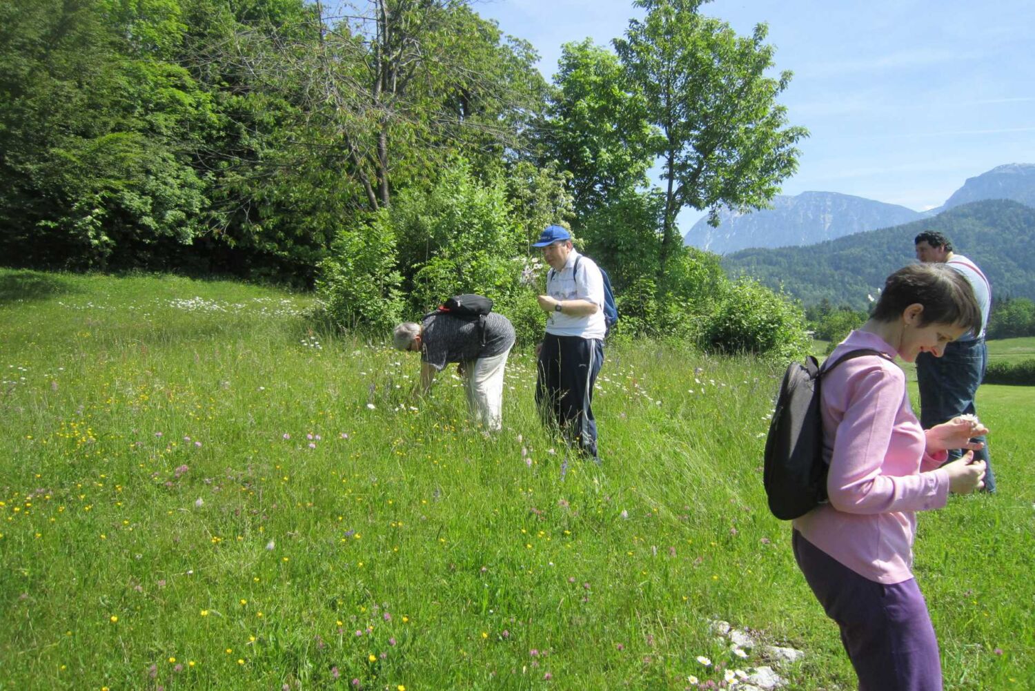 Štefanja gora 006