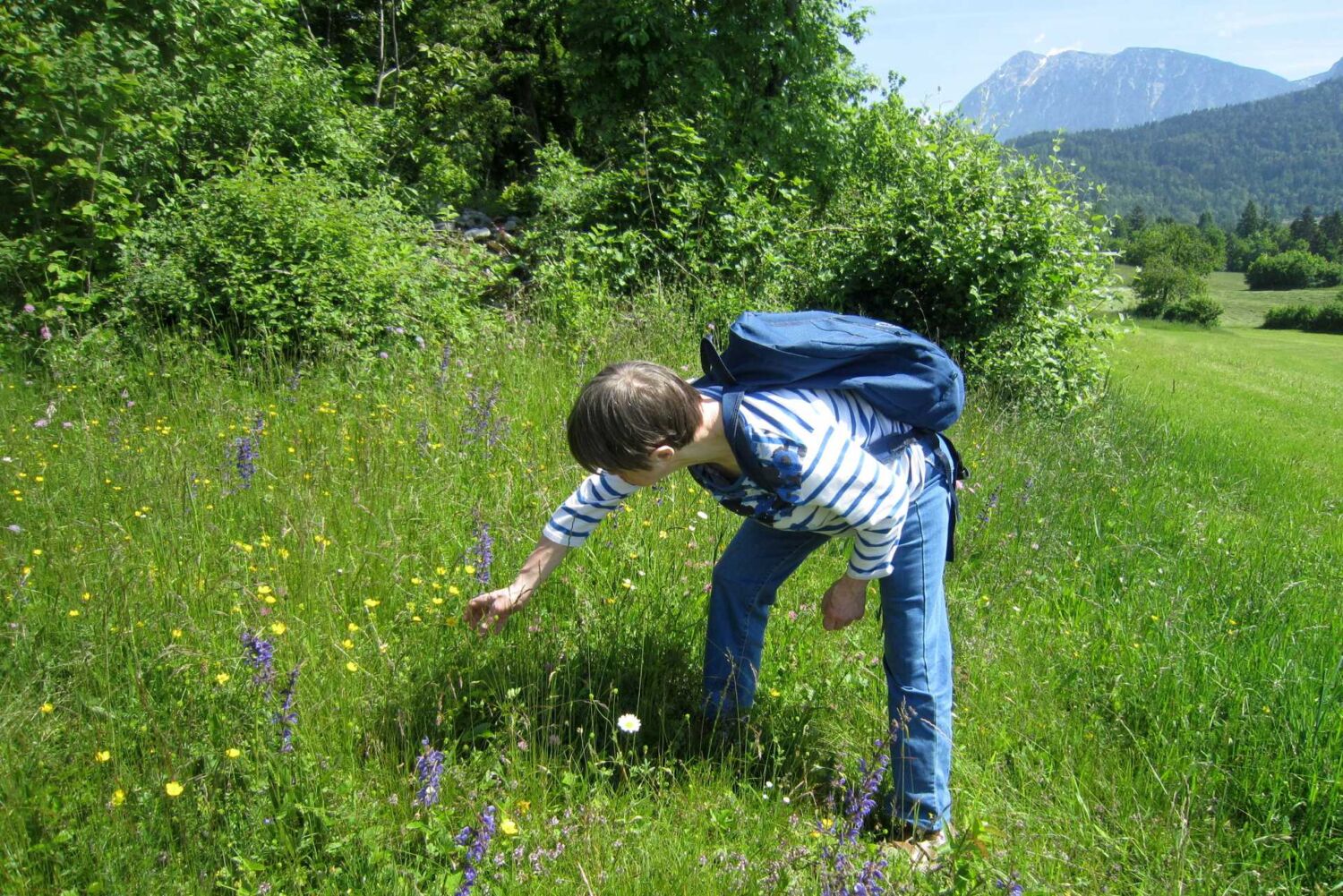 Štefanja gora 009