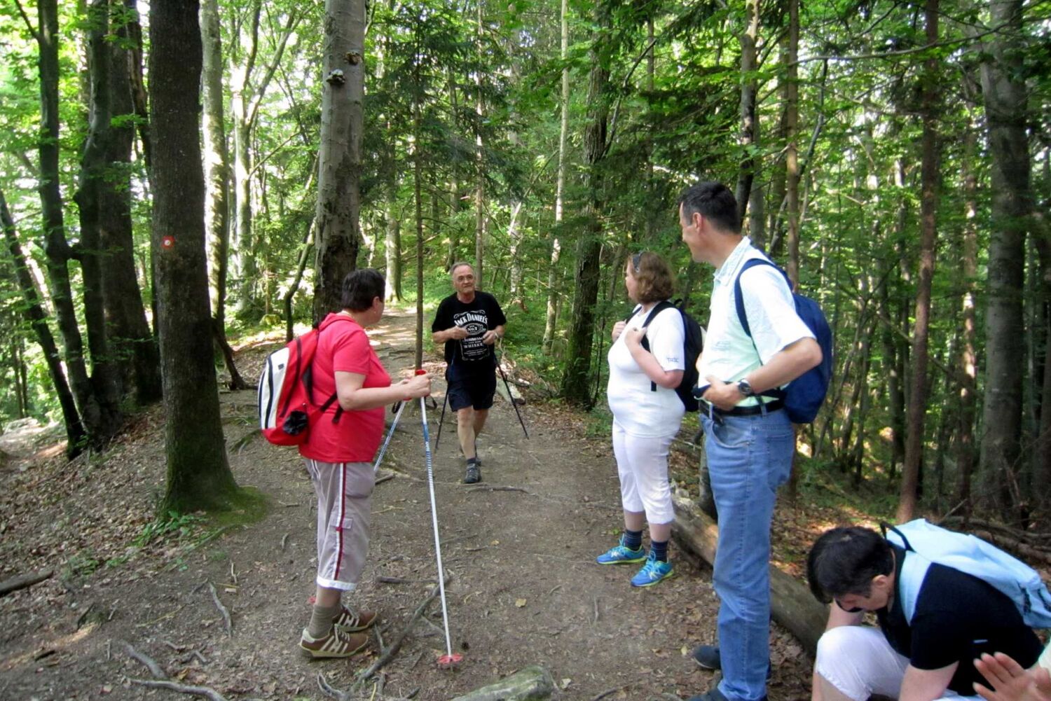 Štefanja gora, župan 009