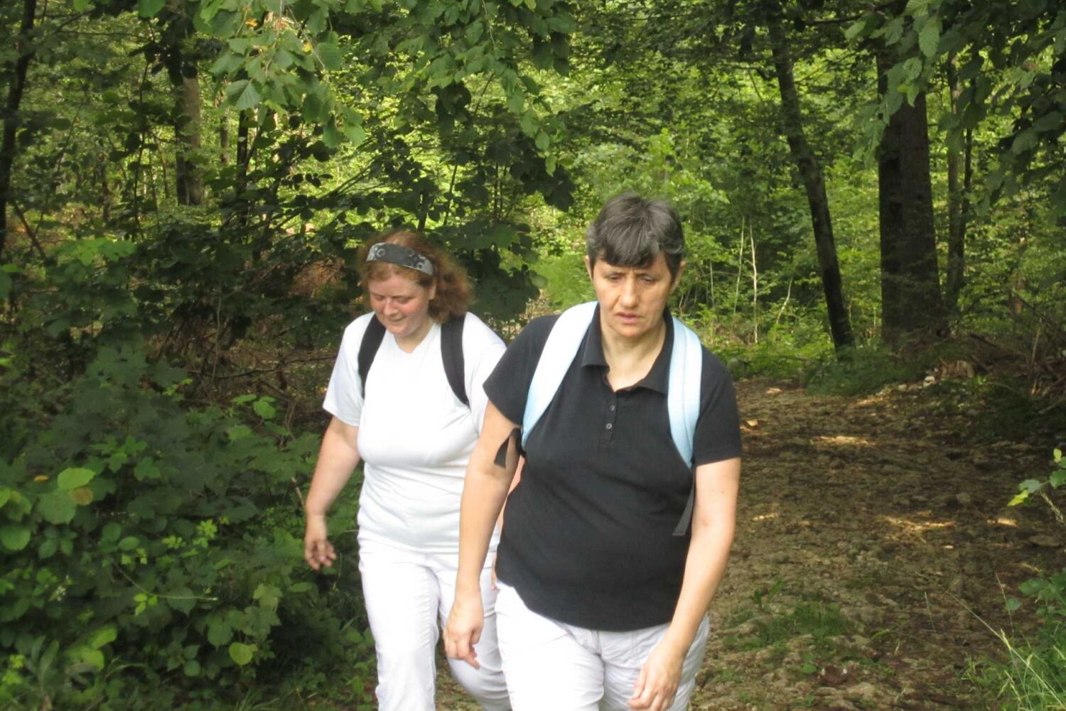 Štefanja gora, župan 026