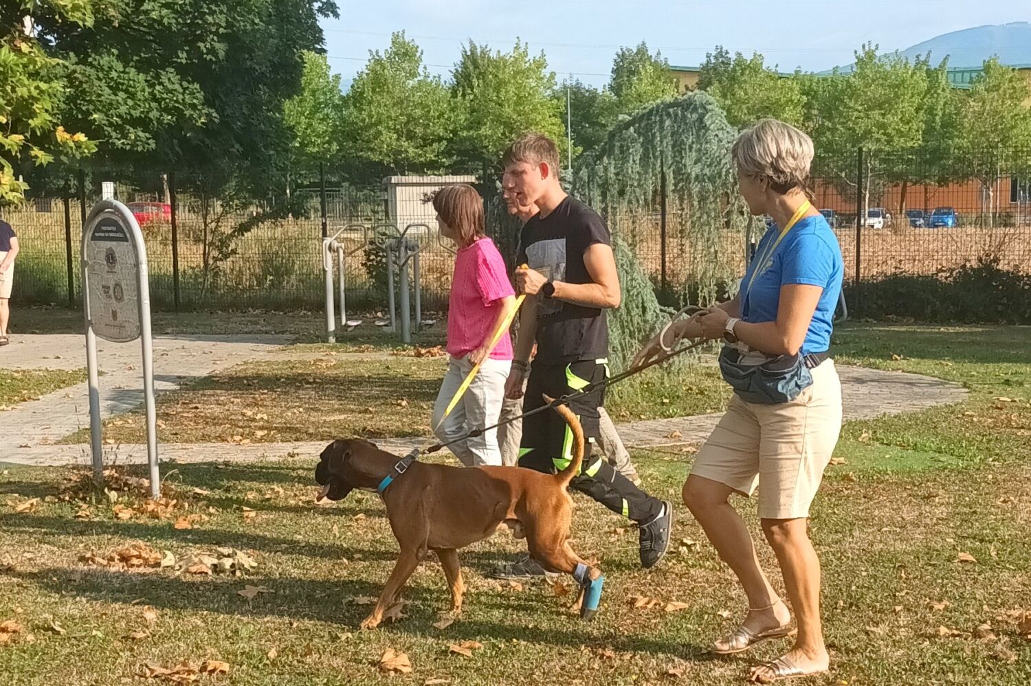 20260820_083043